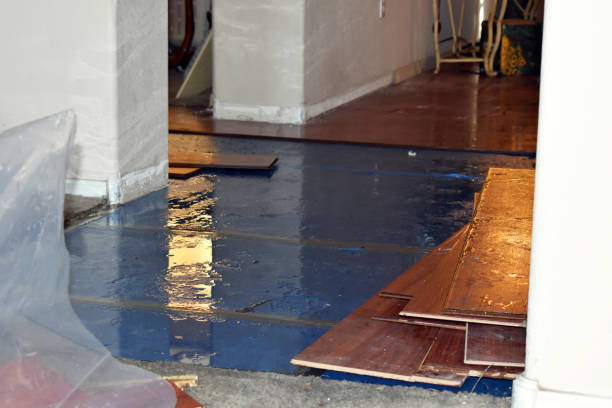Professional Sewage Cleanup technician working in Clearwater, KS